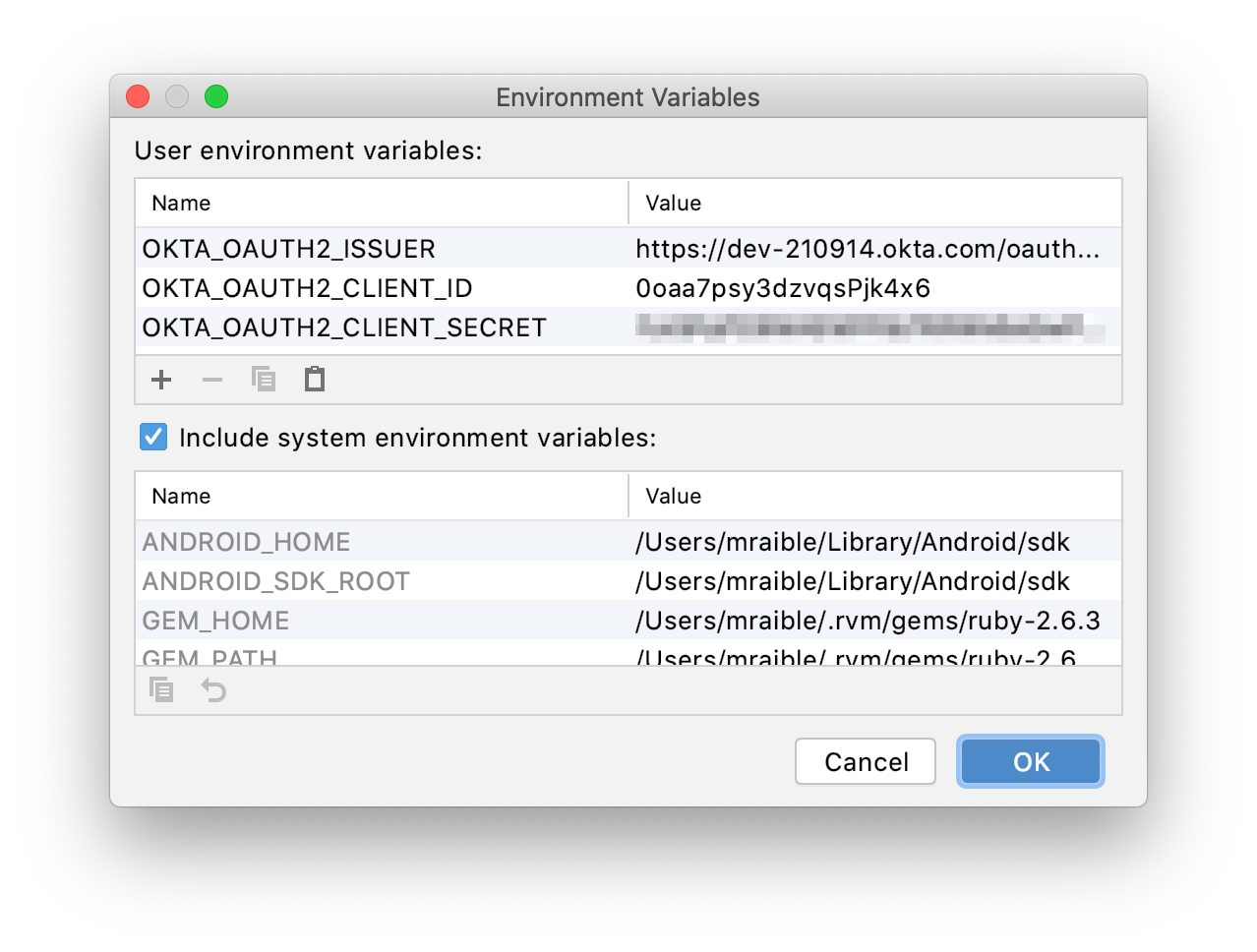 IntelliJ Environment Variables