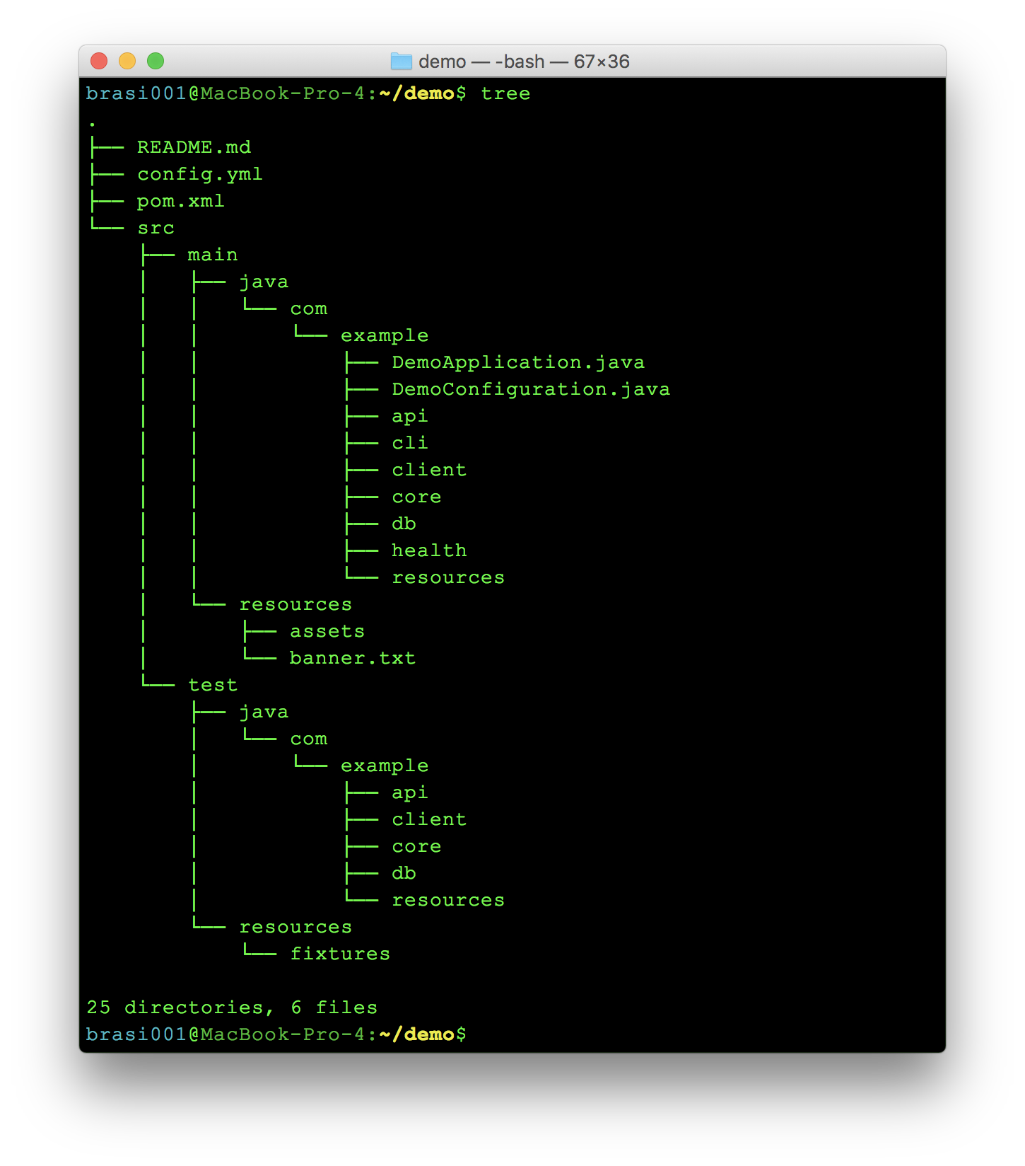 Directory structure