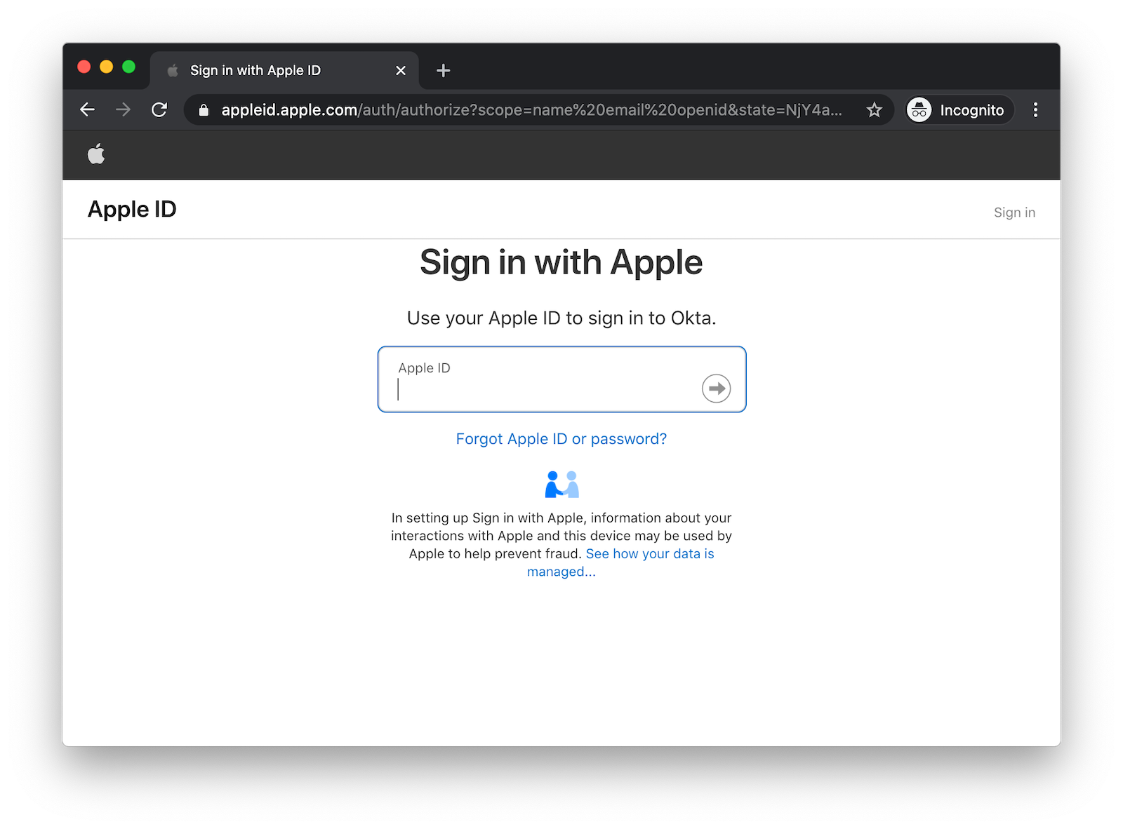 Apple Login Form