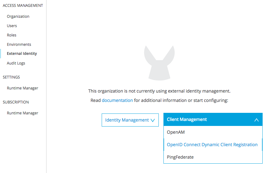 Mulesoft External Identity