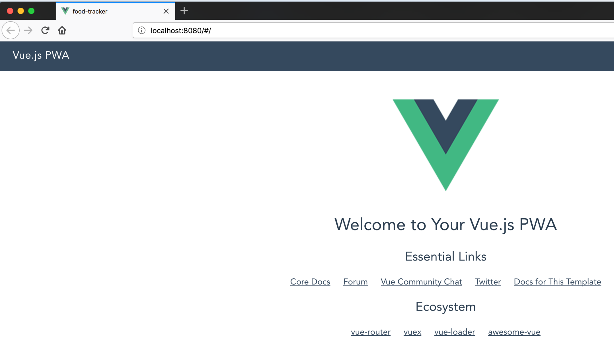 Vue base app running